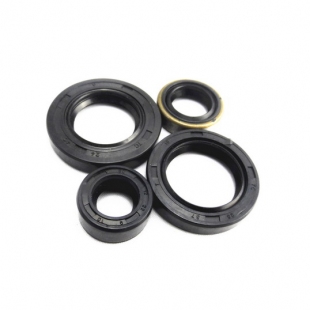 Motorcycle Oil Seal  Kit KPL
