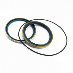 Benz Truck Oil Seal Kits DFK 145*175*13,DFS 145*175*14,255*5
