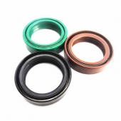 Motorcycle Frk Oil Seal DCY 30*40.5*10.5