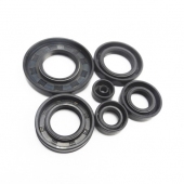 Motorcycle Oil Seal Kit JLD-05