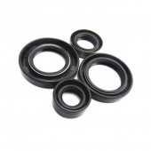 Motorcycle Oil Seal  Kit KPL