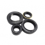 Motorcycle Oil Seal  Kit KPL