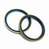 Benz Truck Oil Seal Kits DFK 145*175*13,DFS 145*175*14,255*5