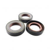 Small Oil Seal Ploose 29.85*47*11.3