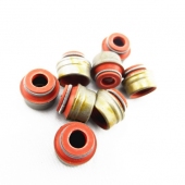 Valve Seal