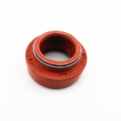 Oil Seal DCY 20*32*10/15